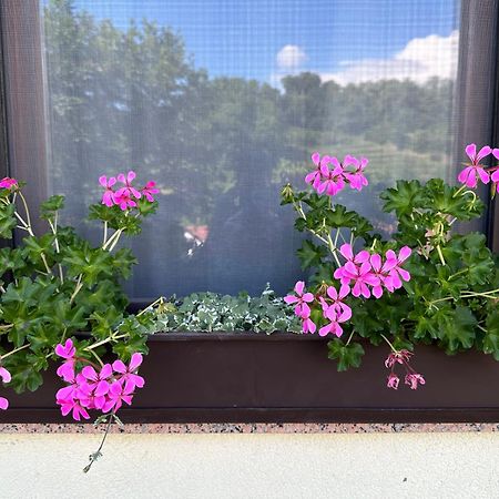 Apartma Anze Samec Dobravlje Esterno foto