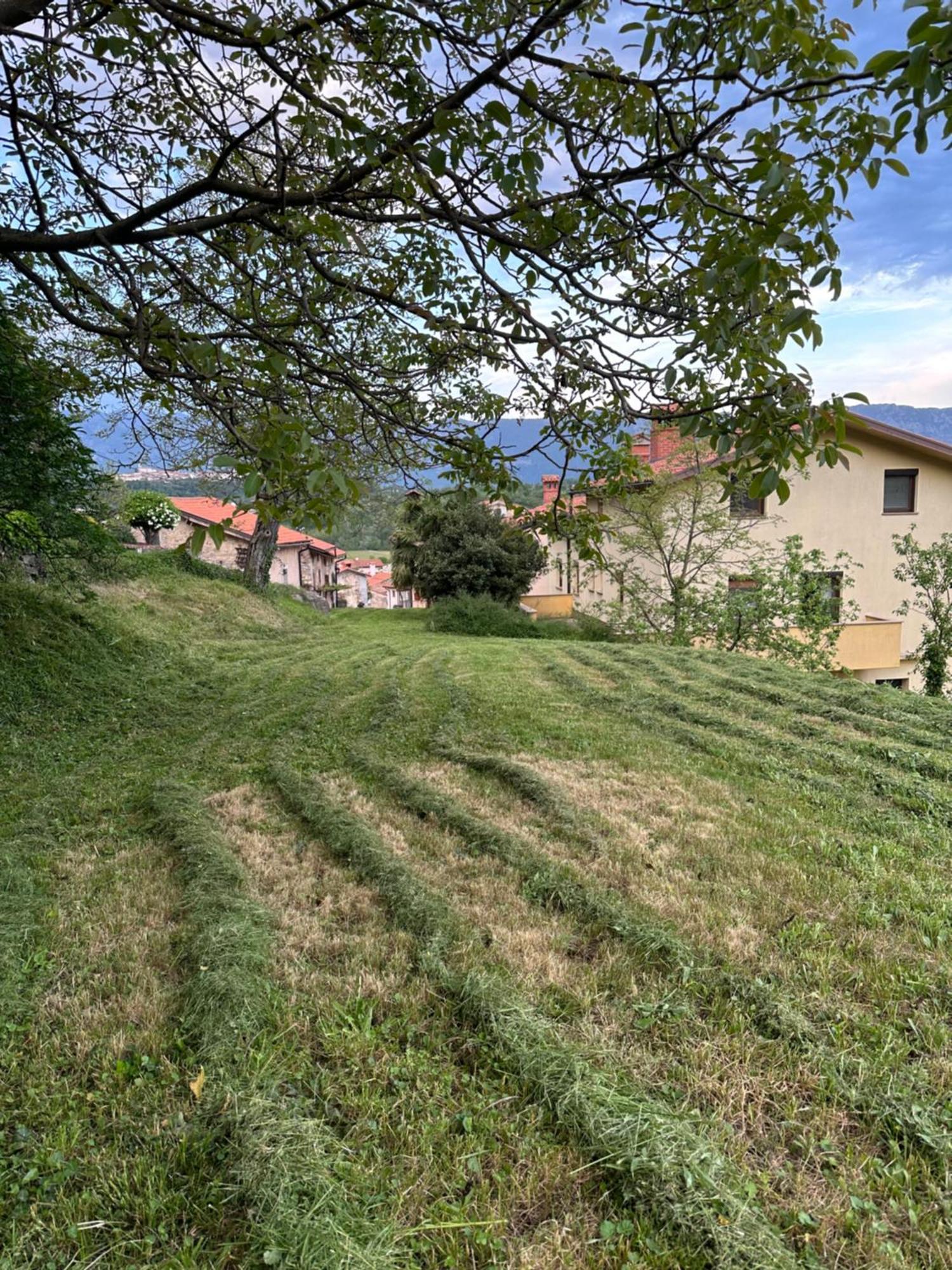 Apartma Anze Samec Dobravlje Esterno foto