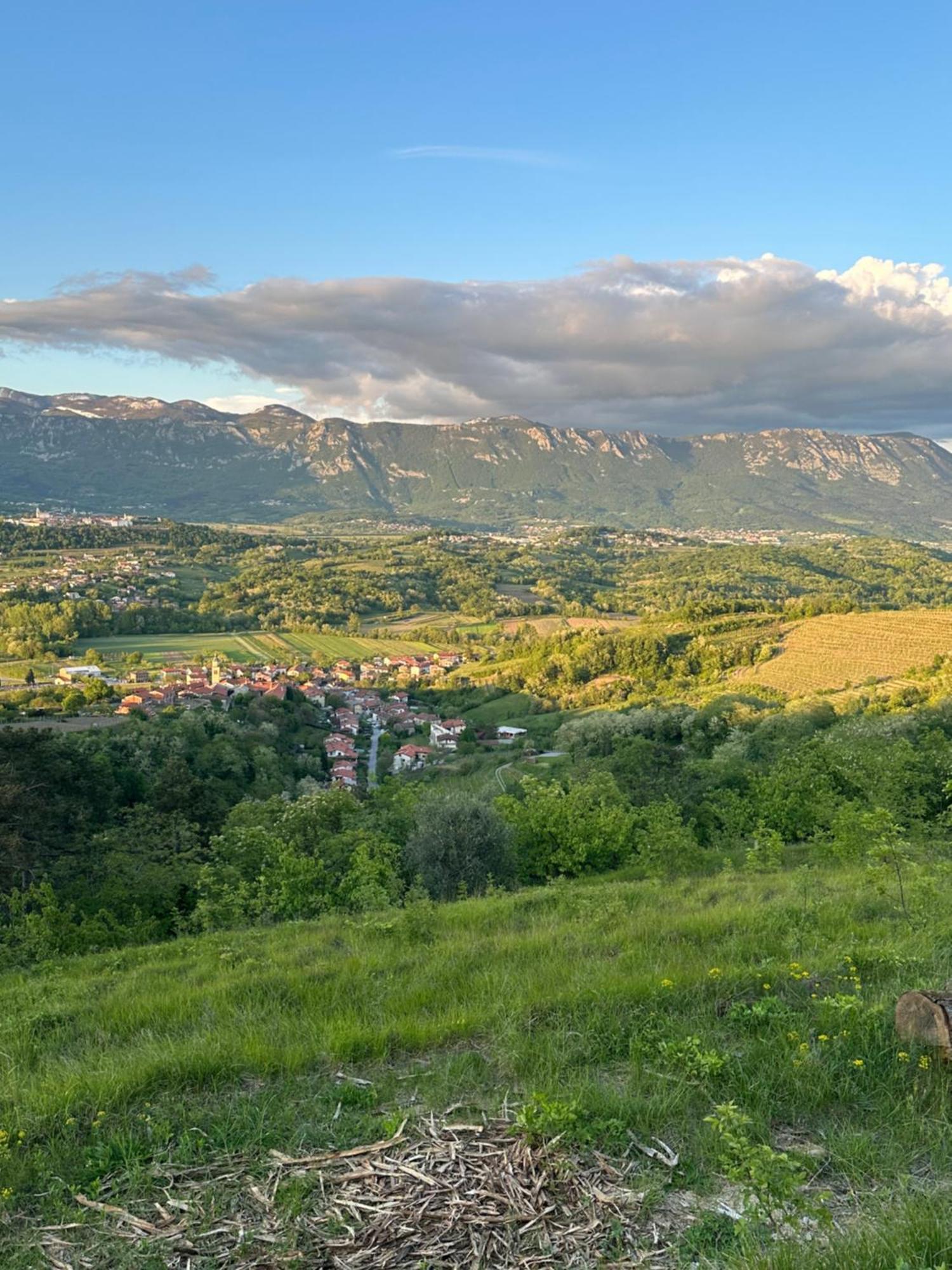 Apartma Anze Samec Dobravlje Esterno foto