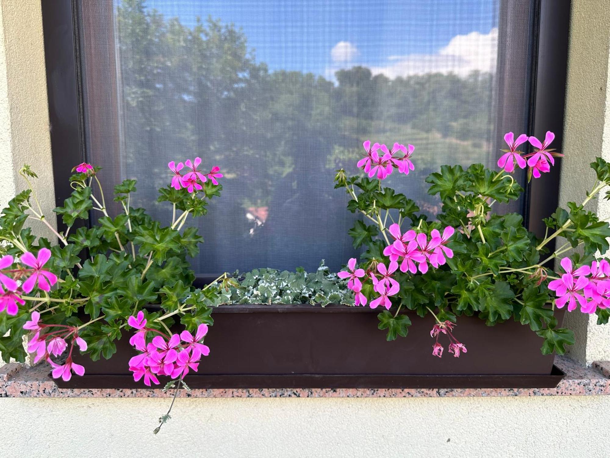 Apartma Anze Samec Dobravlje Esterno foto
